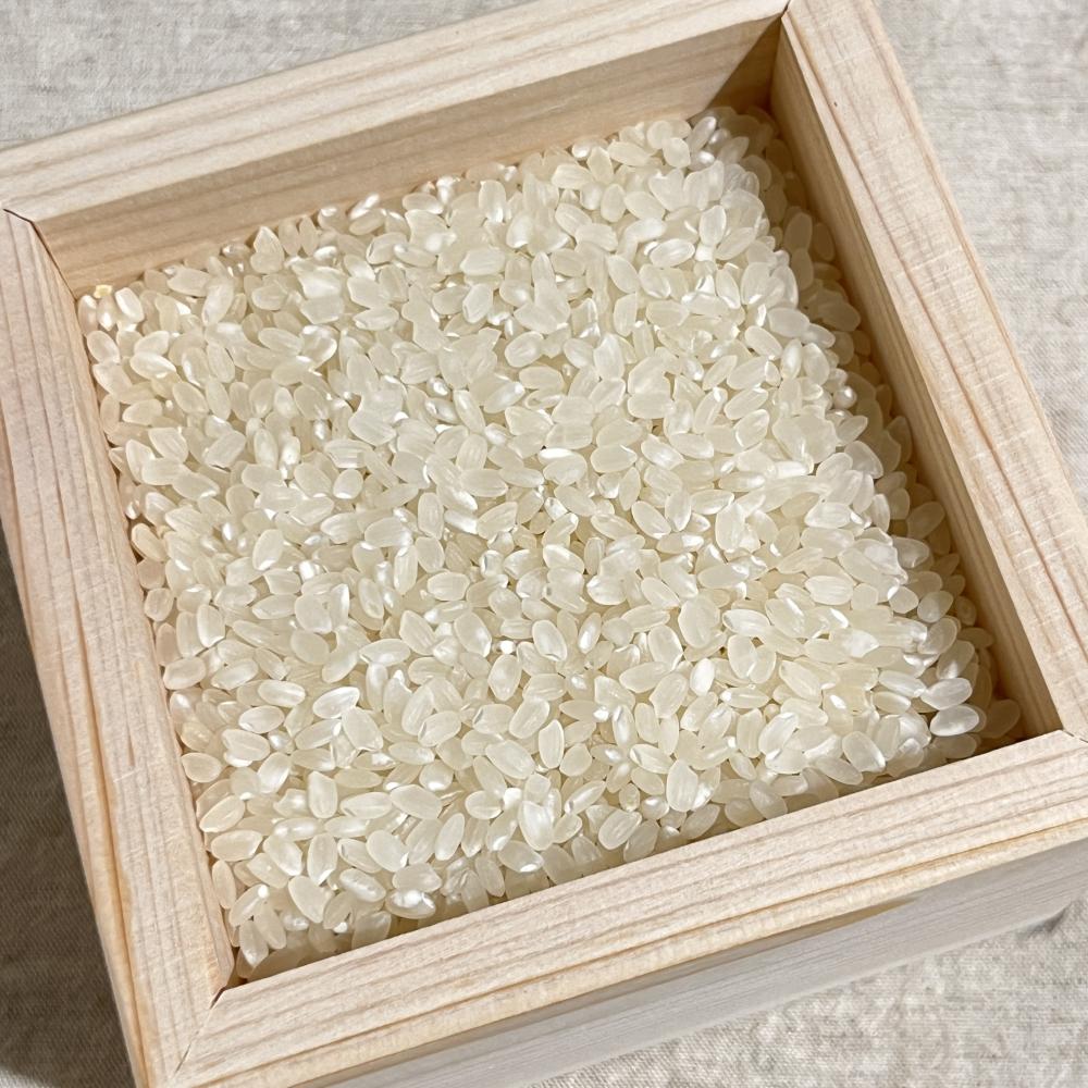 상품 샘플이미지