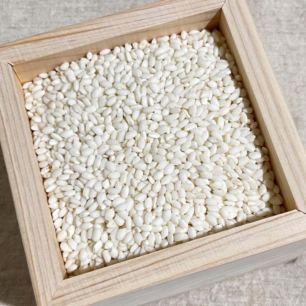 상품 샘플이미지