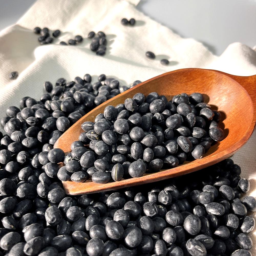 상품 샘플이미지