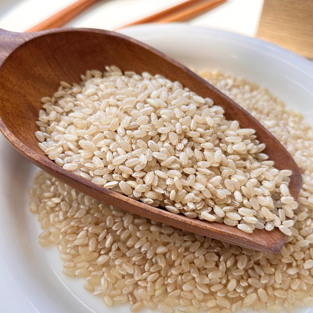 상품 샘플이미지