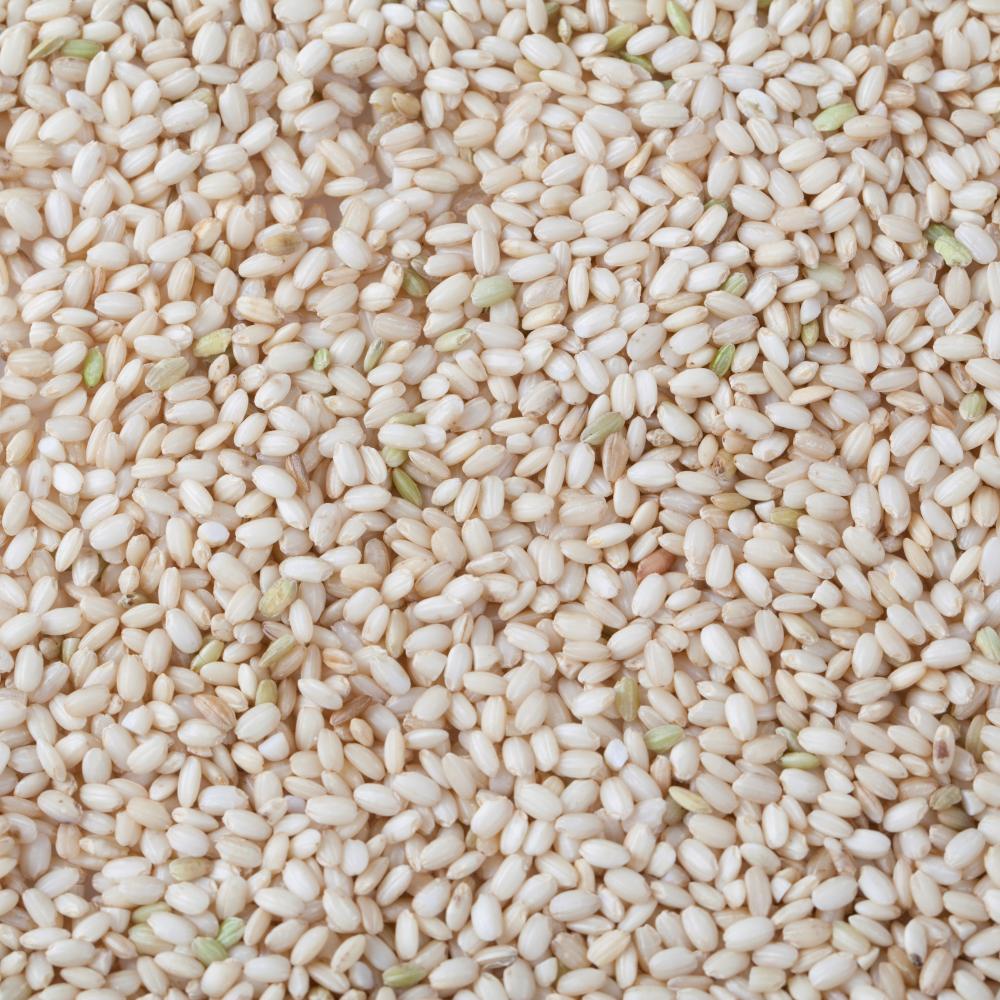 상품 샘플이미지