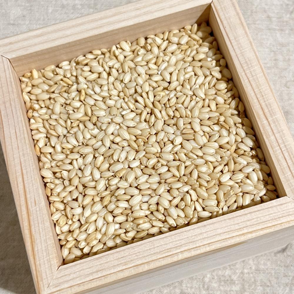 상품 샘플이미지