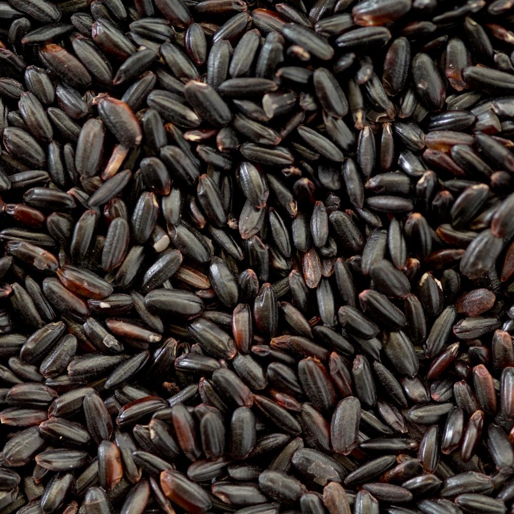 상품 샘플이미지