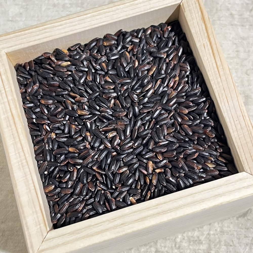 상품 샘플이미지