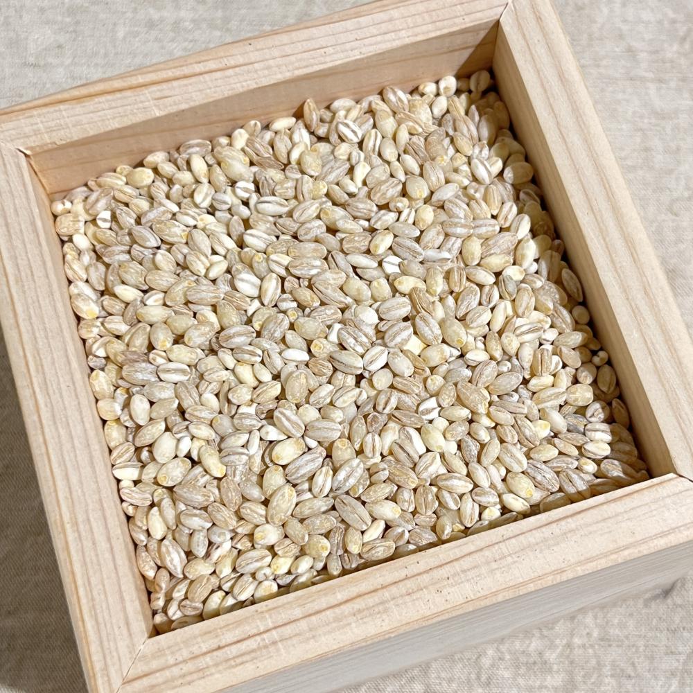 상품 샘플이미지