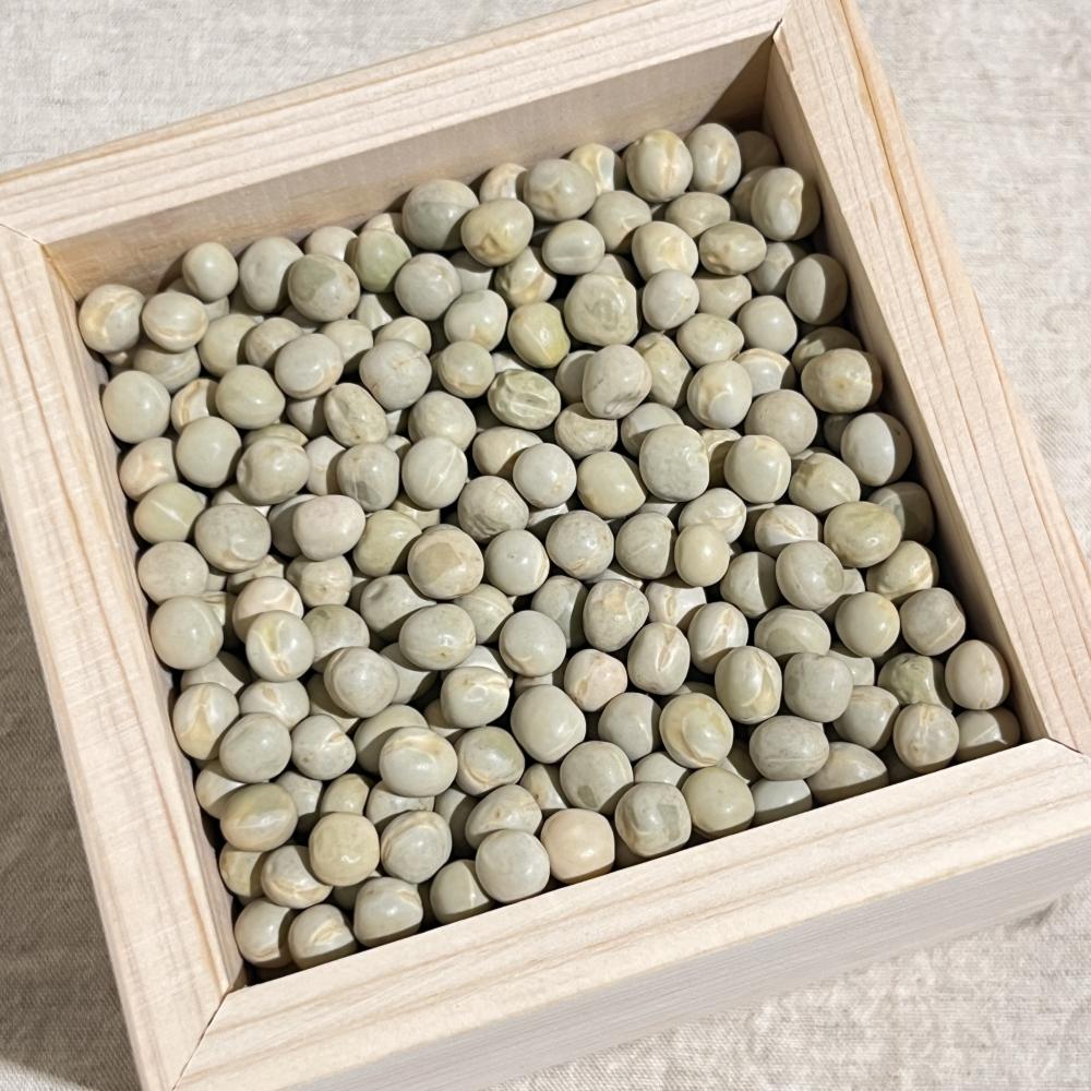 상품 샘플이미지