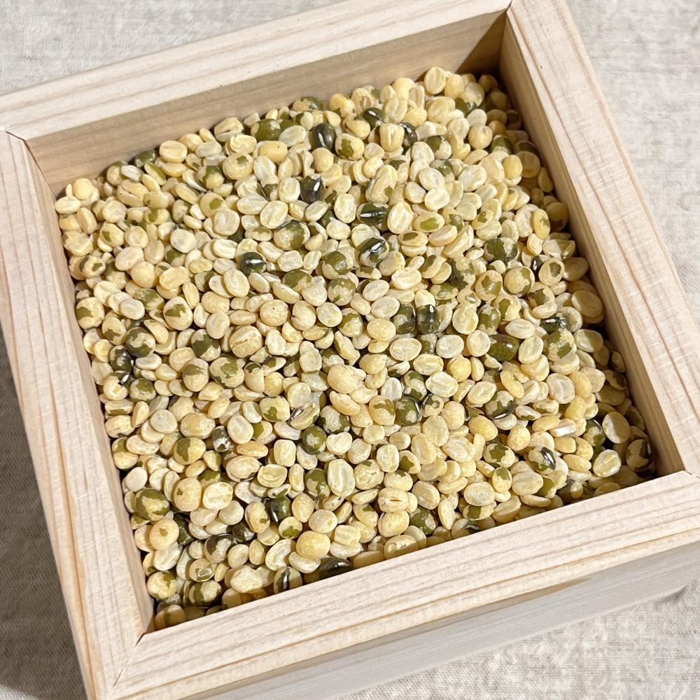 상품 샘플이미지