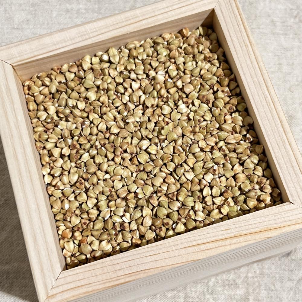 상품 샘플이미지