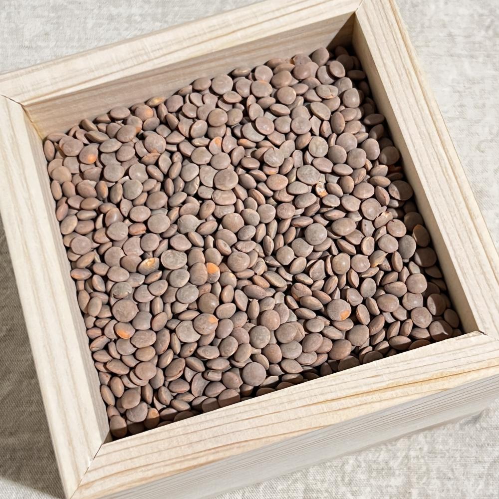 상품 샘플이미지