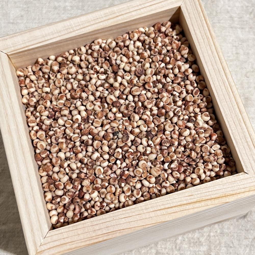 상품 샘플이미지