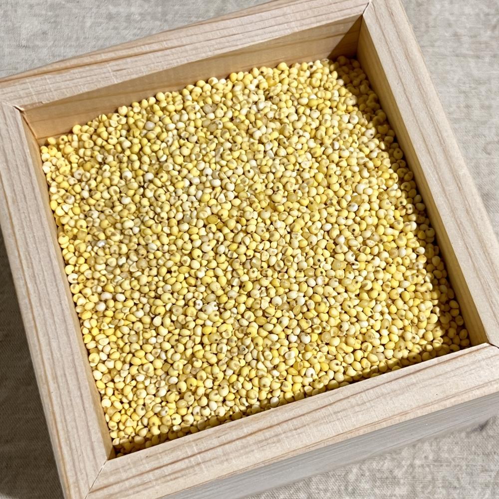 상품 샘플이미지