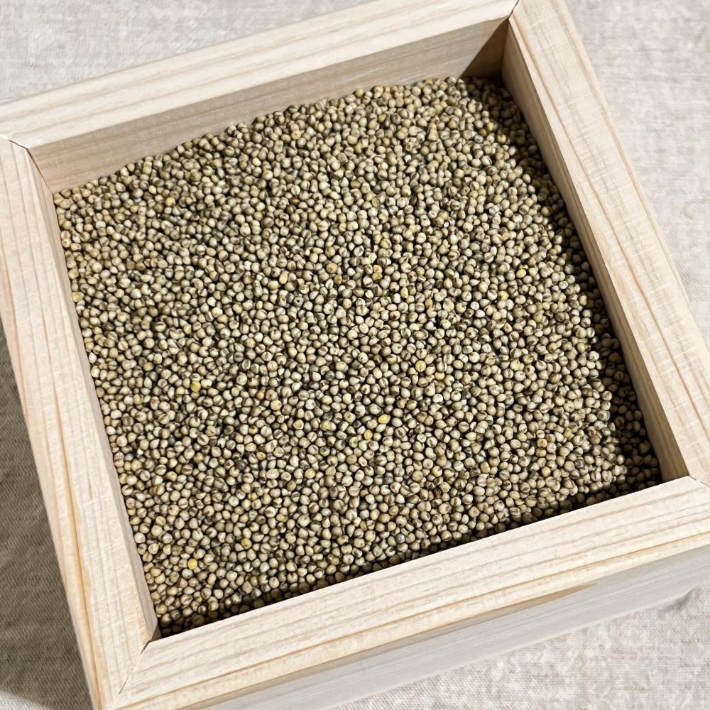 상품 샘플이미지