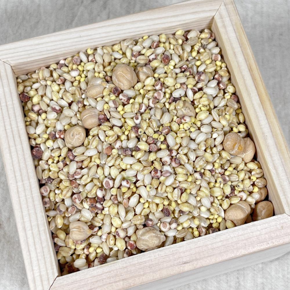 상품 샘플이미지