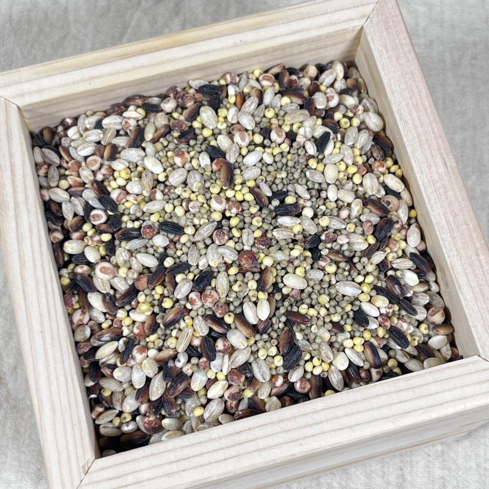 상품 샘플이미지