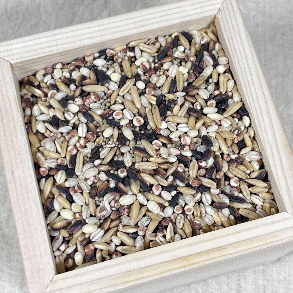 상품 샘플이미지